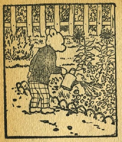 klik om naar alle plaatjes te gaan