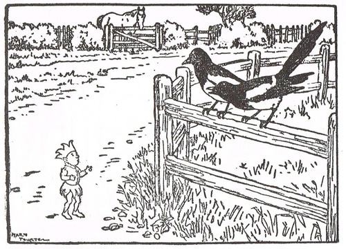 klik om naar alle plaatjes te gaan