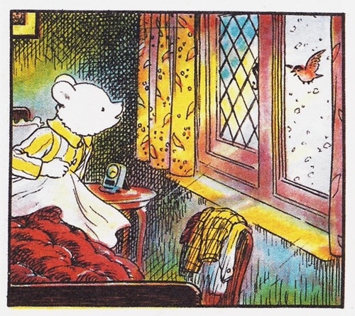 klik om naar alle plaatjes te gaan